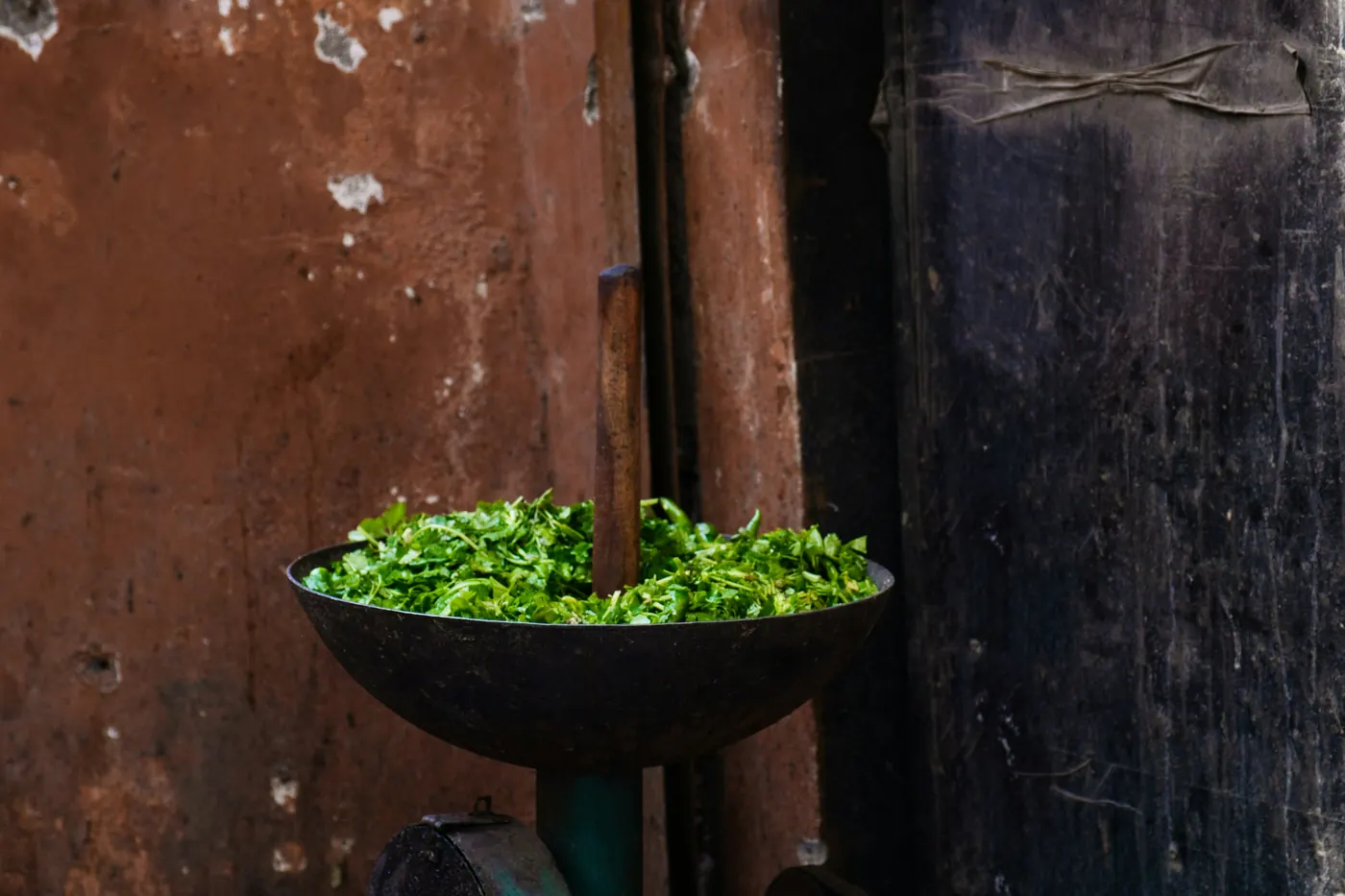A dark bowl of finely chopped green herb against a weathered wall