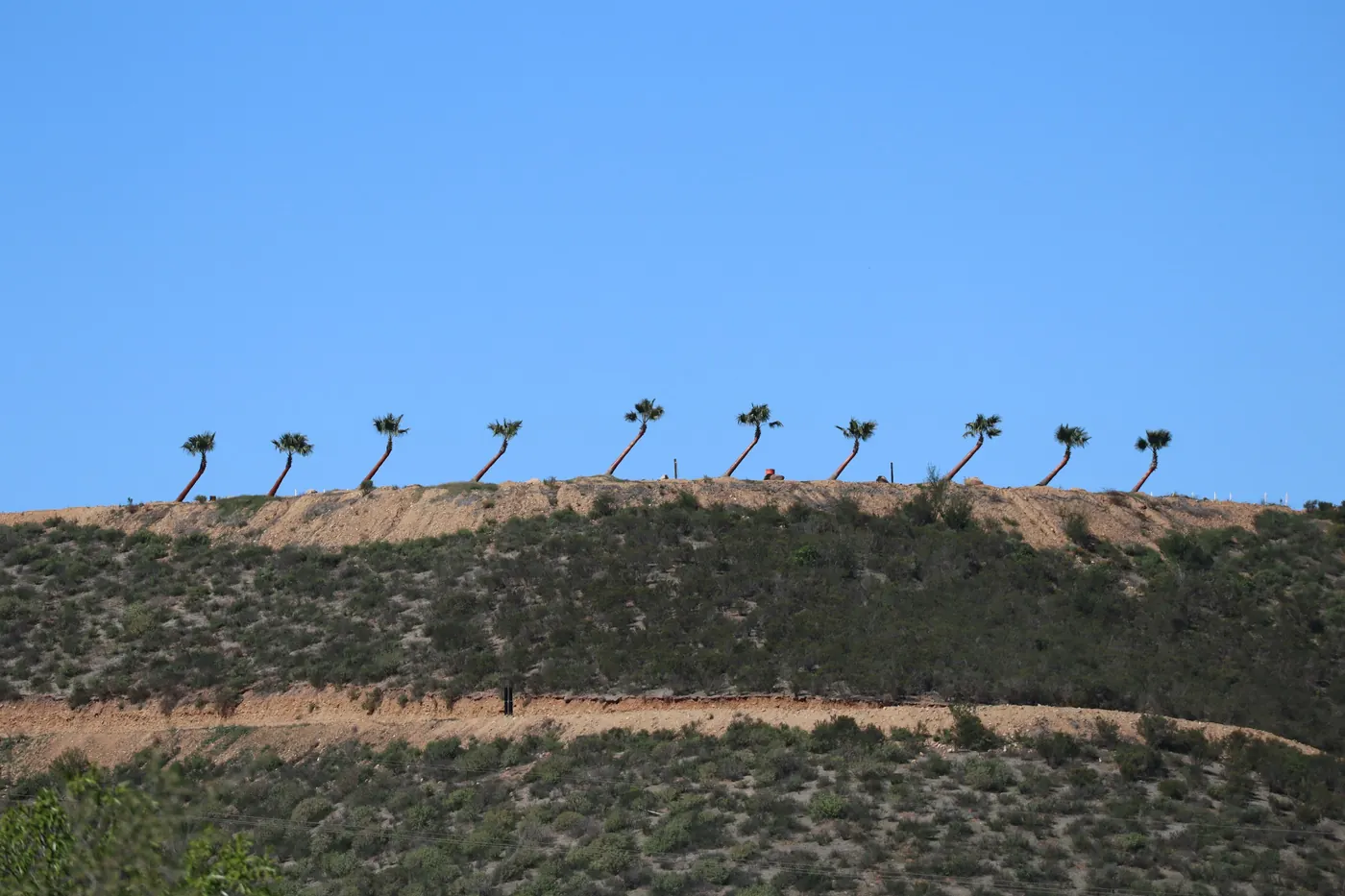 A dry ridge line topped with sparse trees against a pale sky