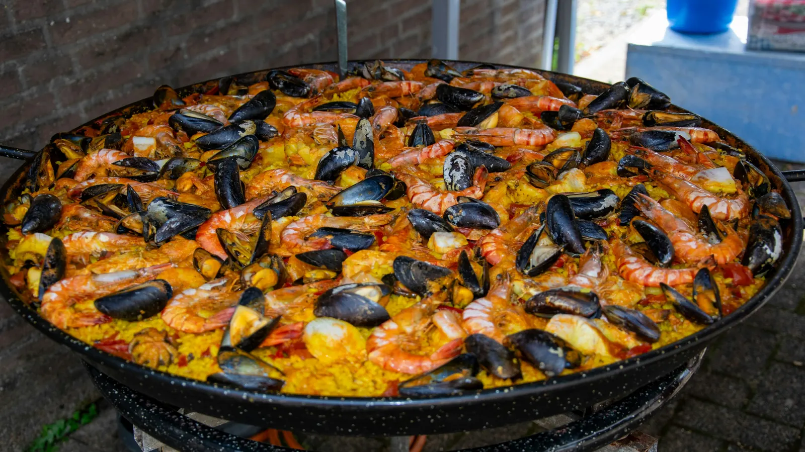 A very large paella pan filled with rice, mussels and shrimp