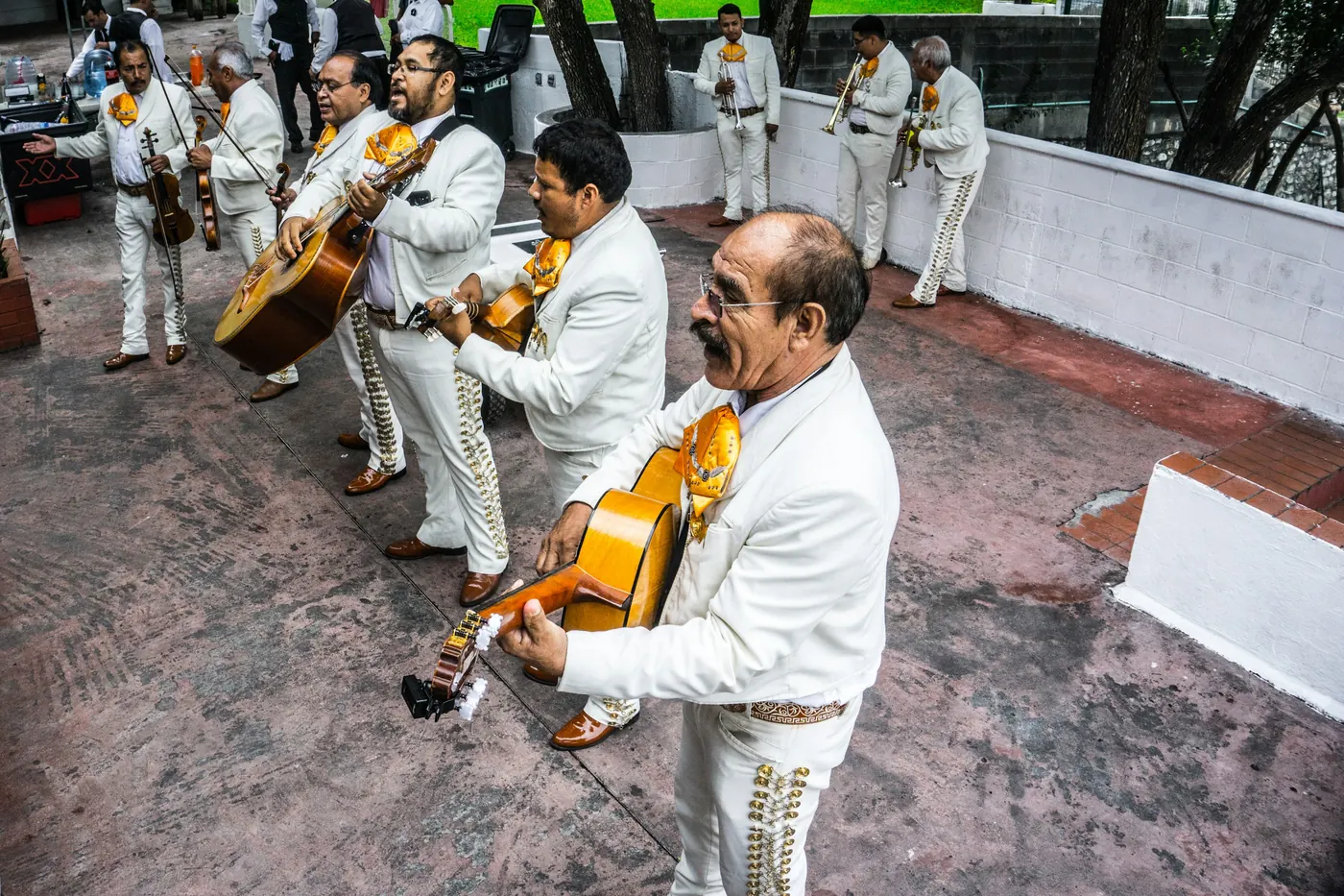 A mariachi group in white charro suits performing together