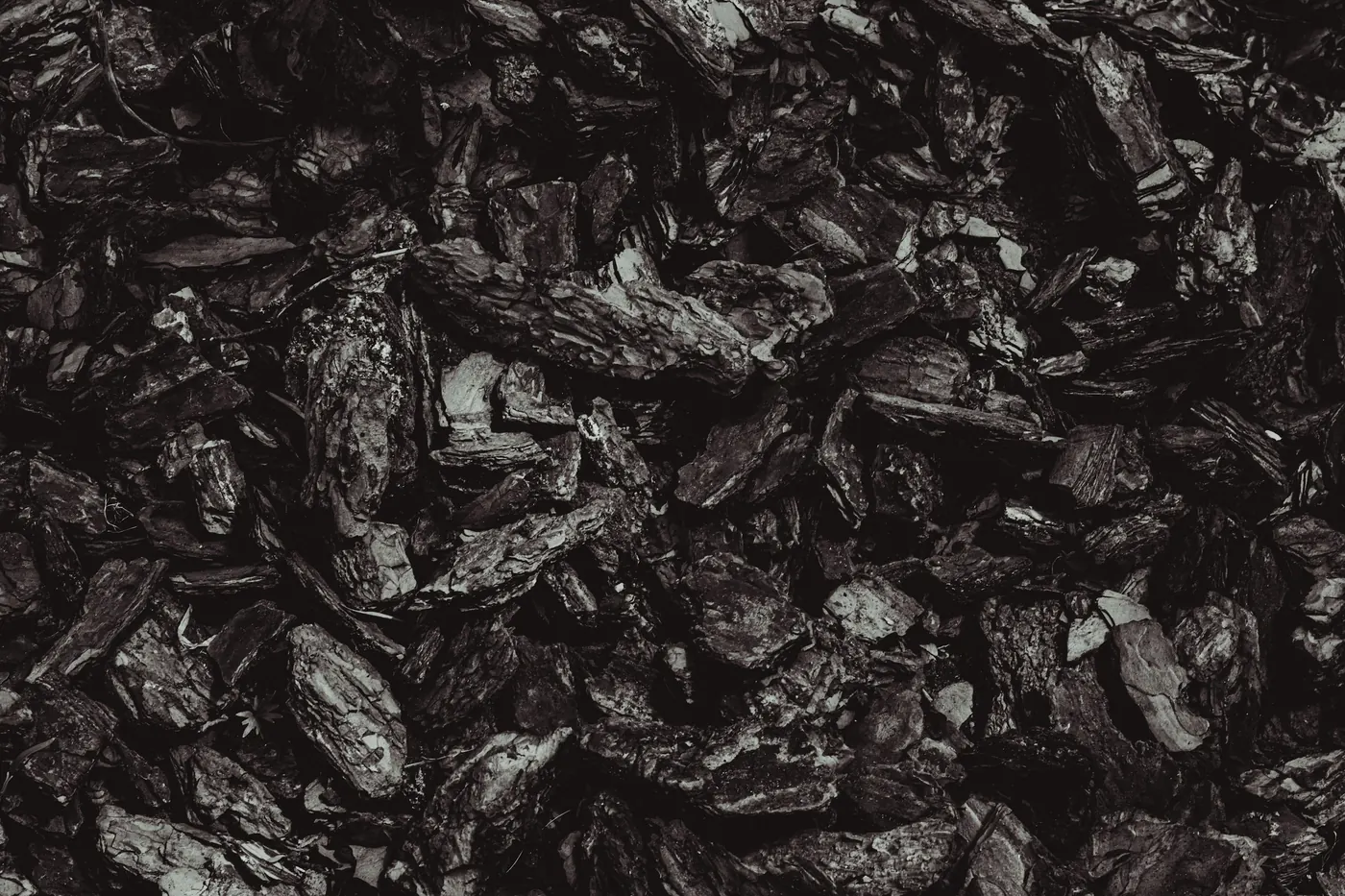 A dense mass of dark wrinkled dried chiles