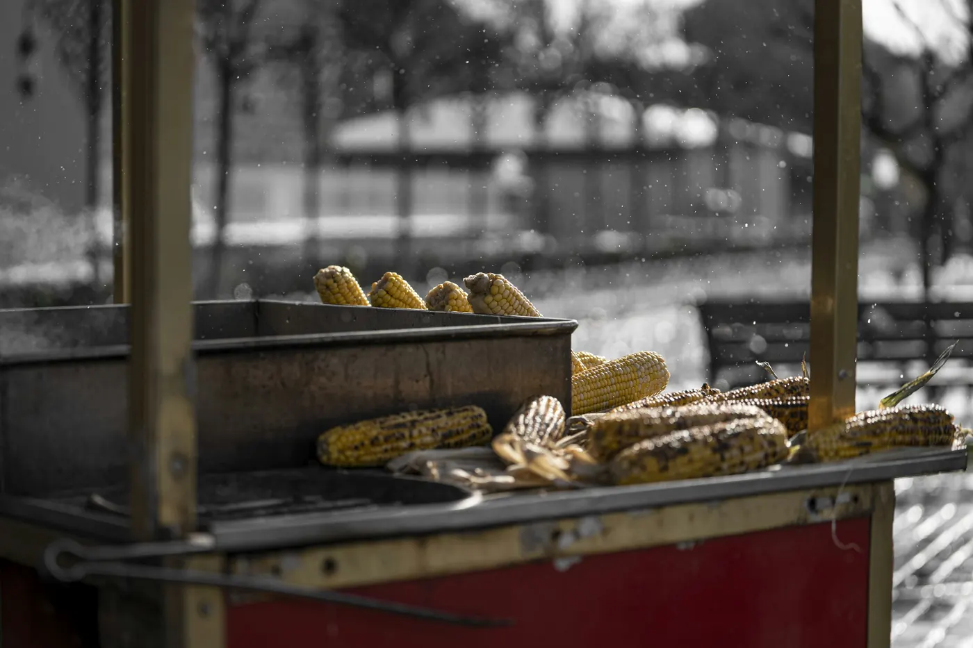 A street cart with corn cooking on a griddle
