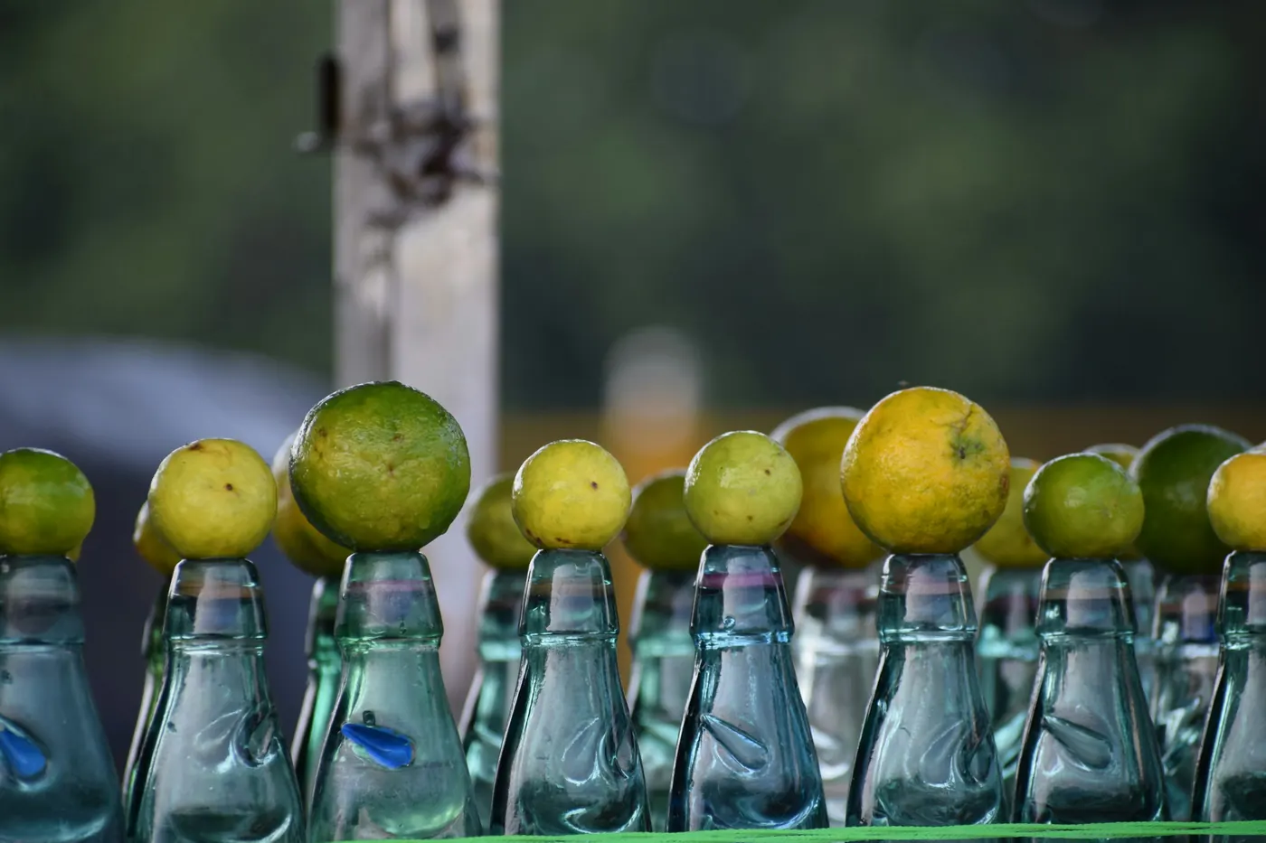 A row of glass bottles each capped with a whole lime