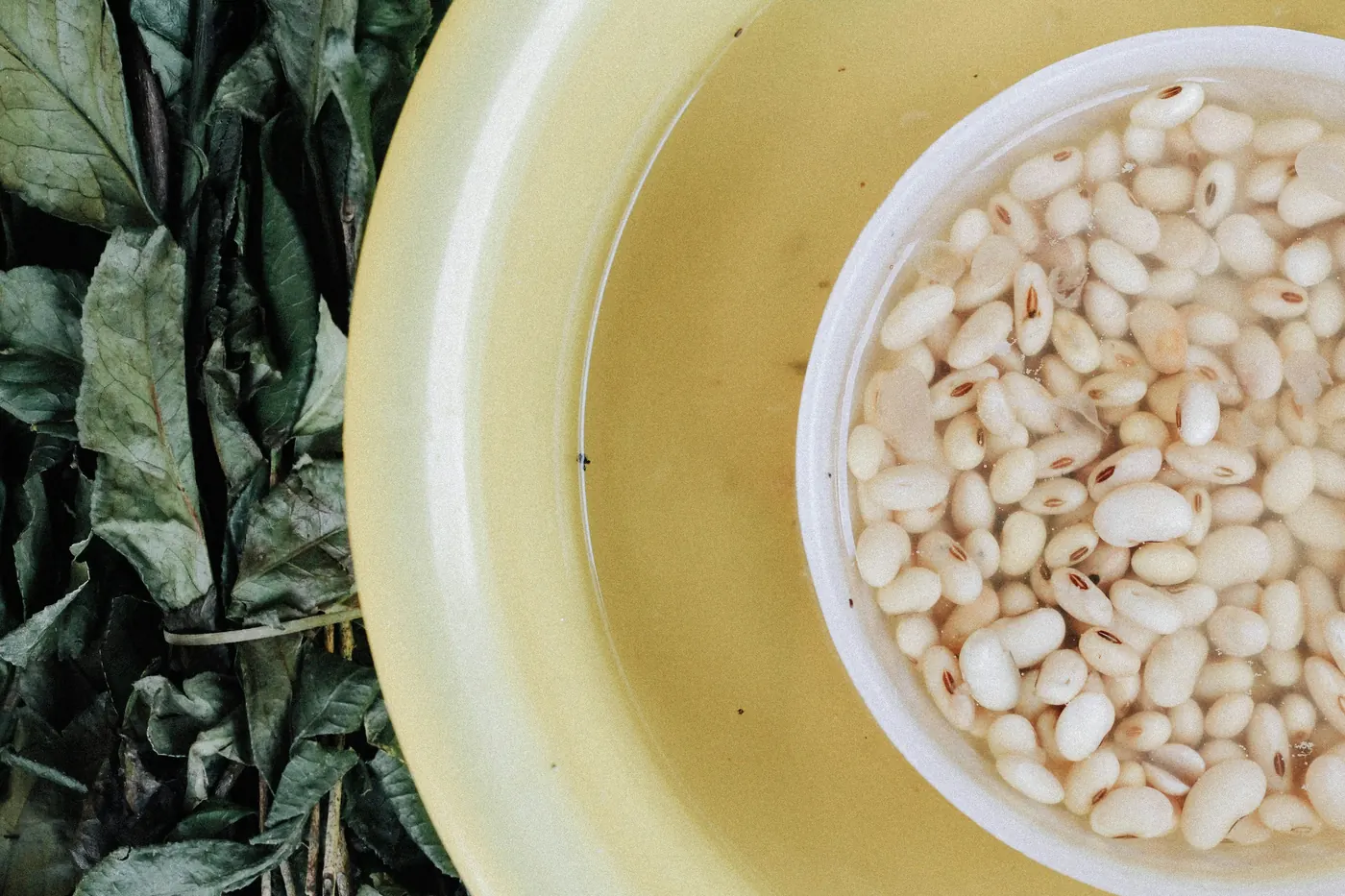 A bowl of plump white hominy kernels on a yellow plate