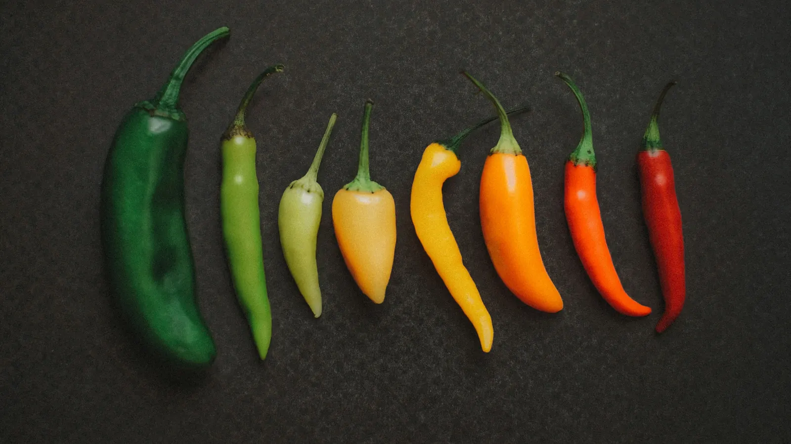 A row of chile peppers laid out in order from green through yellow and orange to red