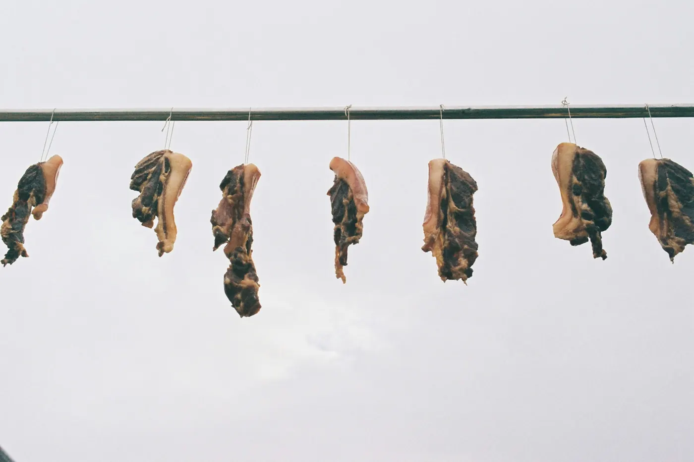 Chiles hung in a row on a line to dry