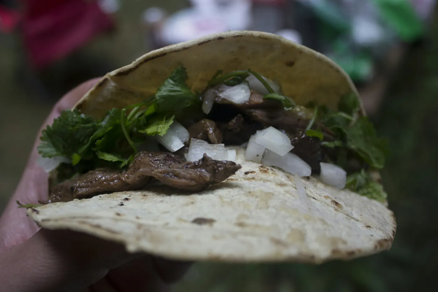 A close view of a soft taco filled with shredded beef and chopped onion