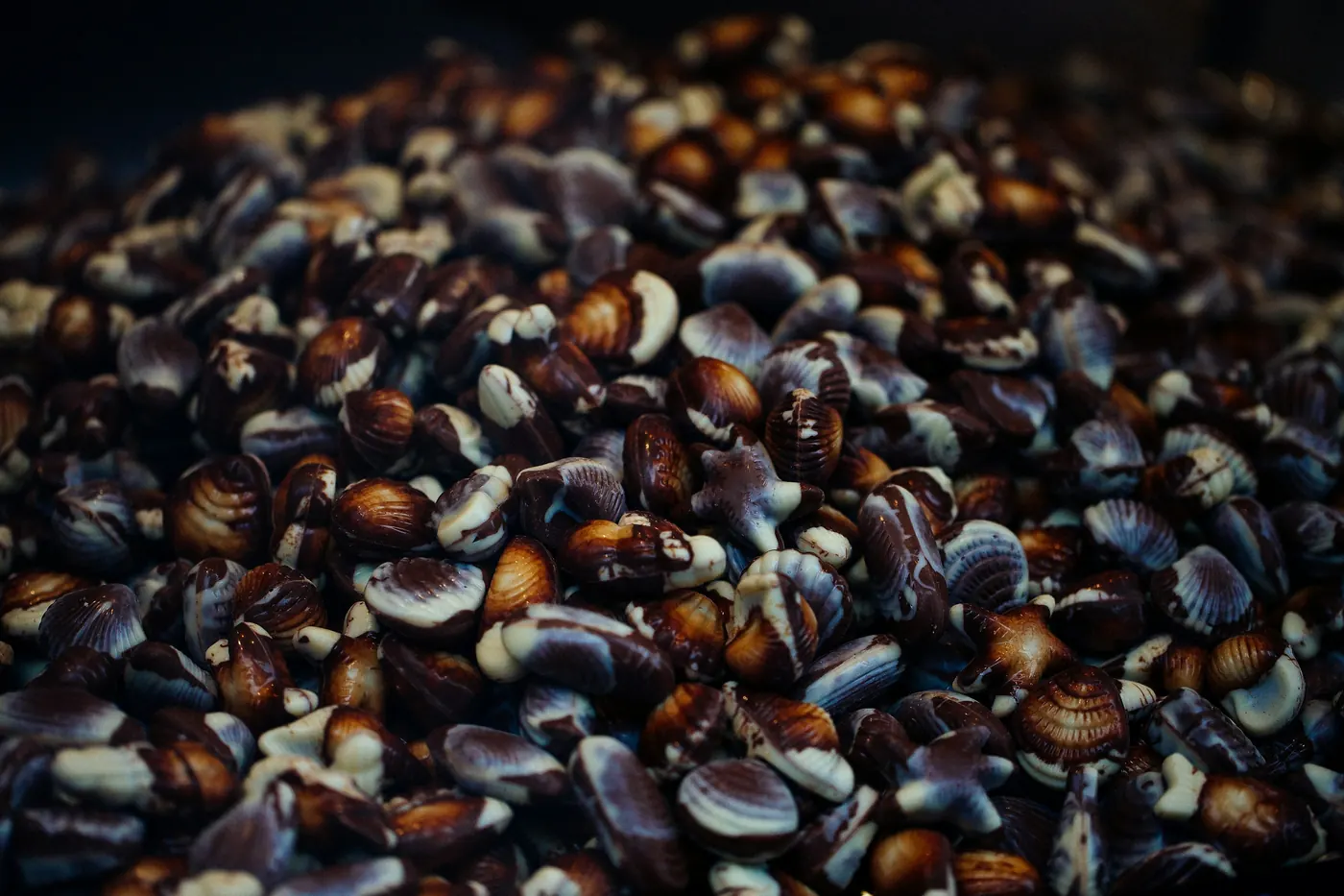 Dark blue and near-black dried corn kernels in a pile