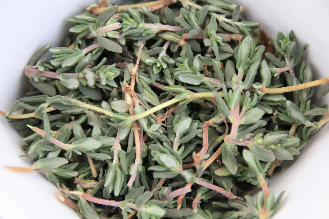 Dried gray-green leaves and stems scattered on a white surface
