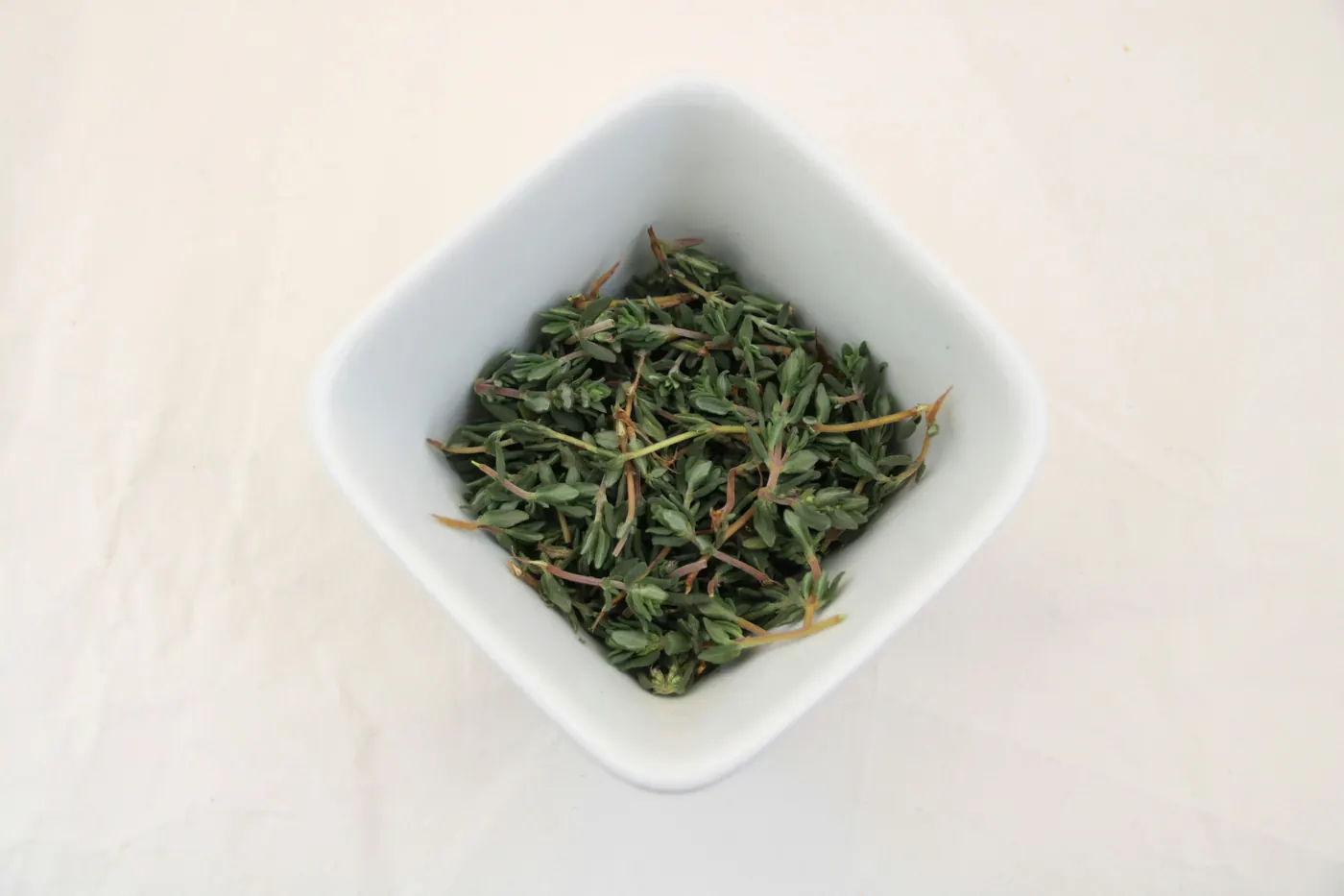Dried herb sprigs in a small square white dish