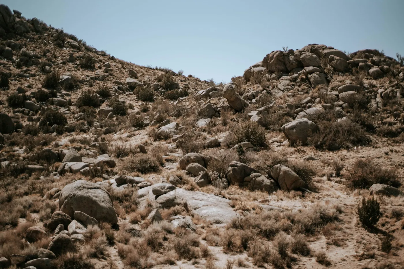 Dry rocky scrubland stretching toward bare hills