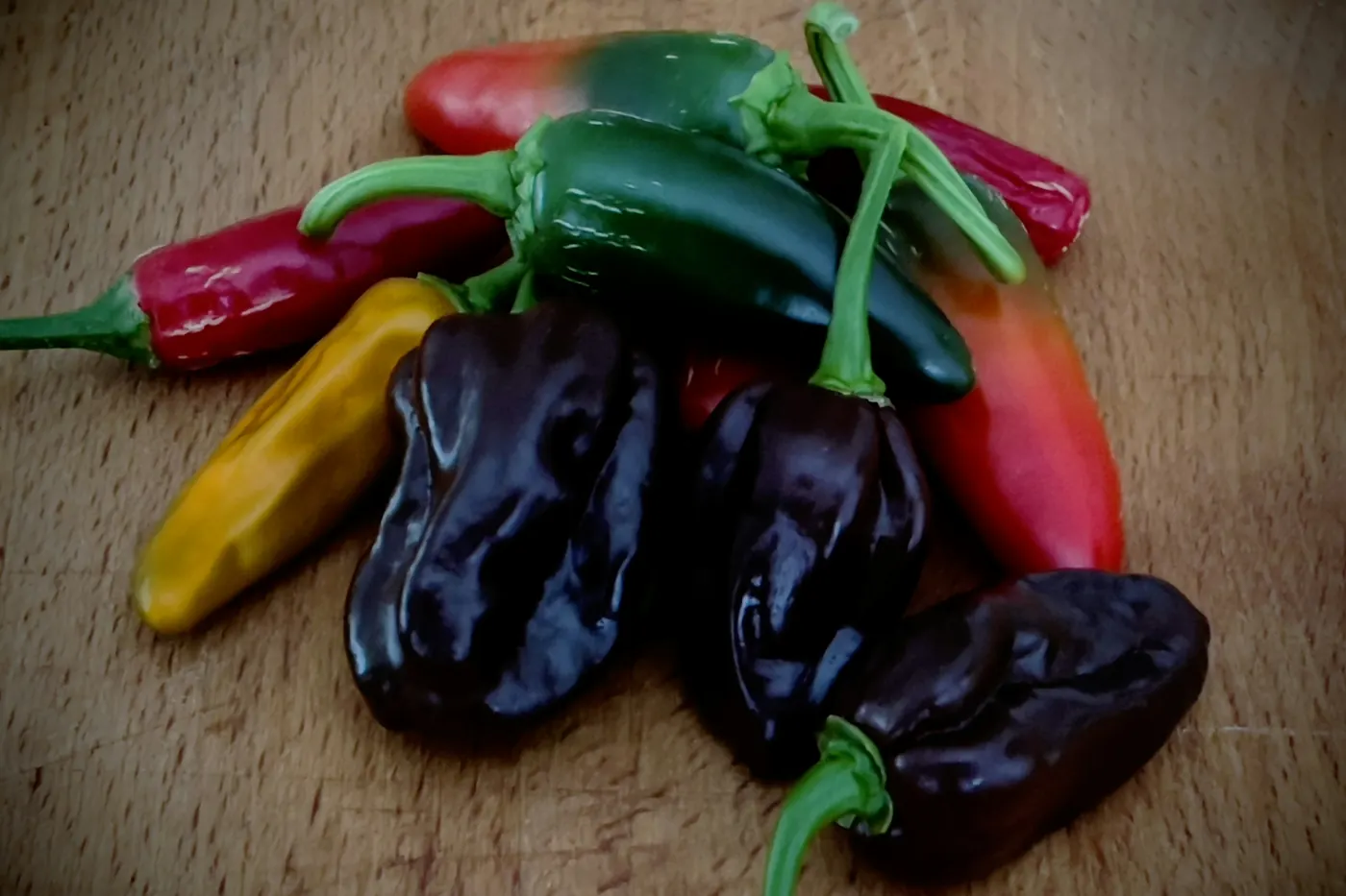 Fresh green and red peppers beside dark dried ones on a board