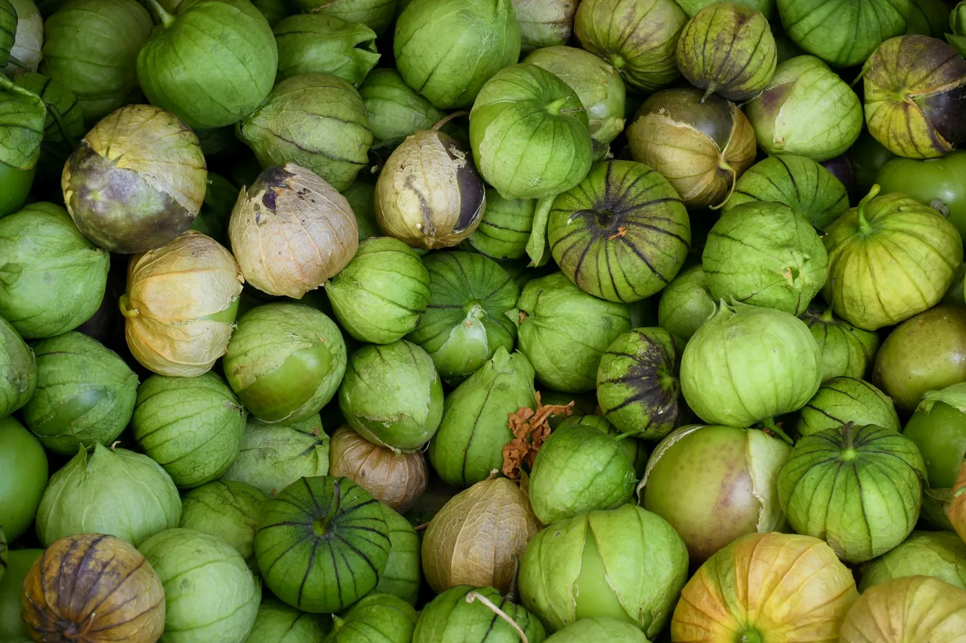A pile of fresh green tomatillos, some still in their papery husks