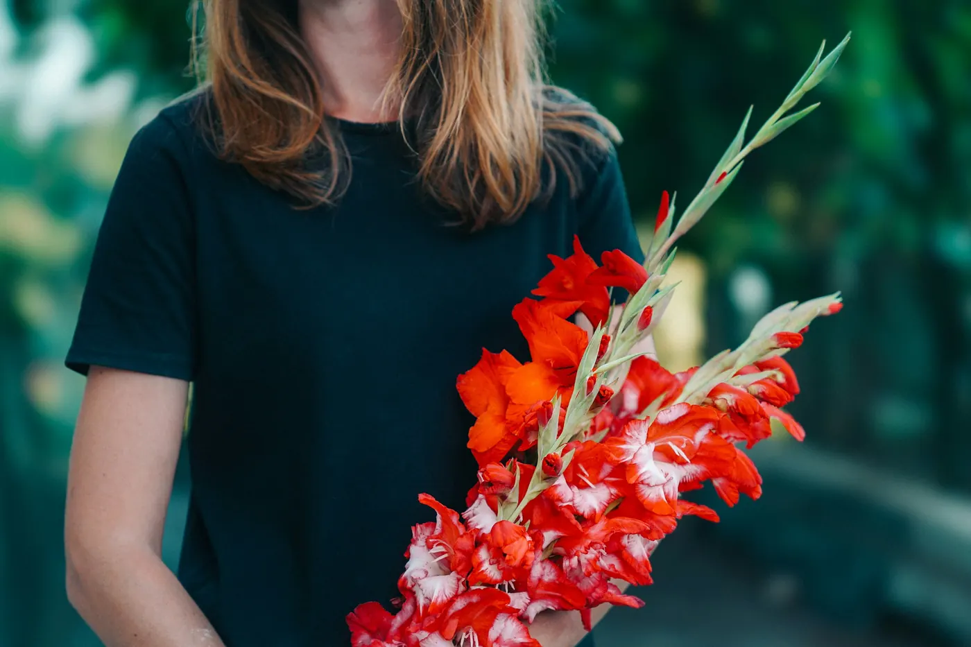 A person holding a bunch of tall red gladiolas