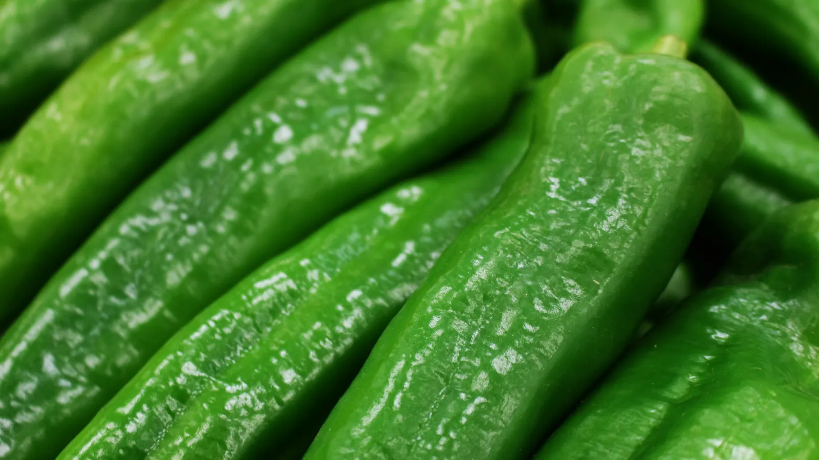 A pile of large glossy dark green peppers