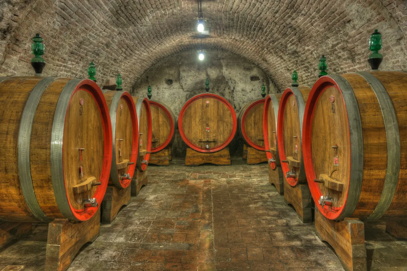 Rows of oak barrels lined up in a vaulted cellar