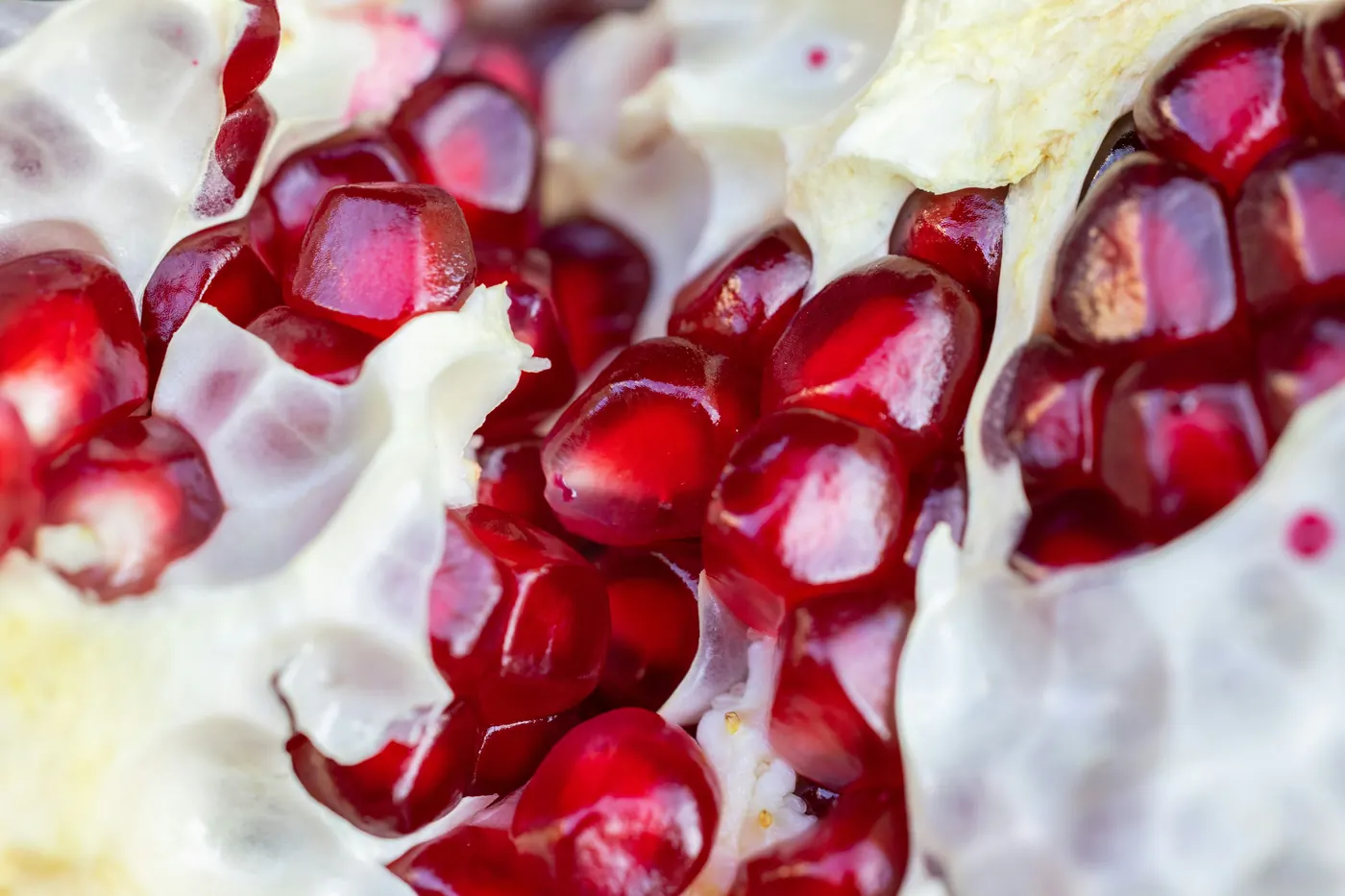 Bright pomegranate seeds scattered across a white cream sauce