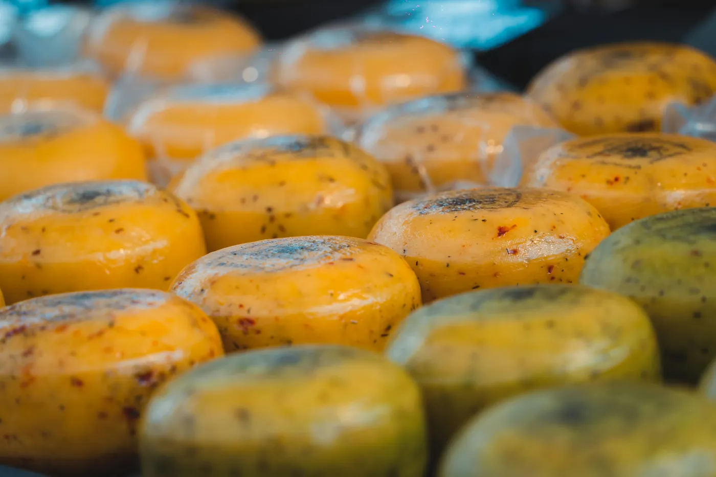 Rounds of soft white melting cheese arranged in trays
