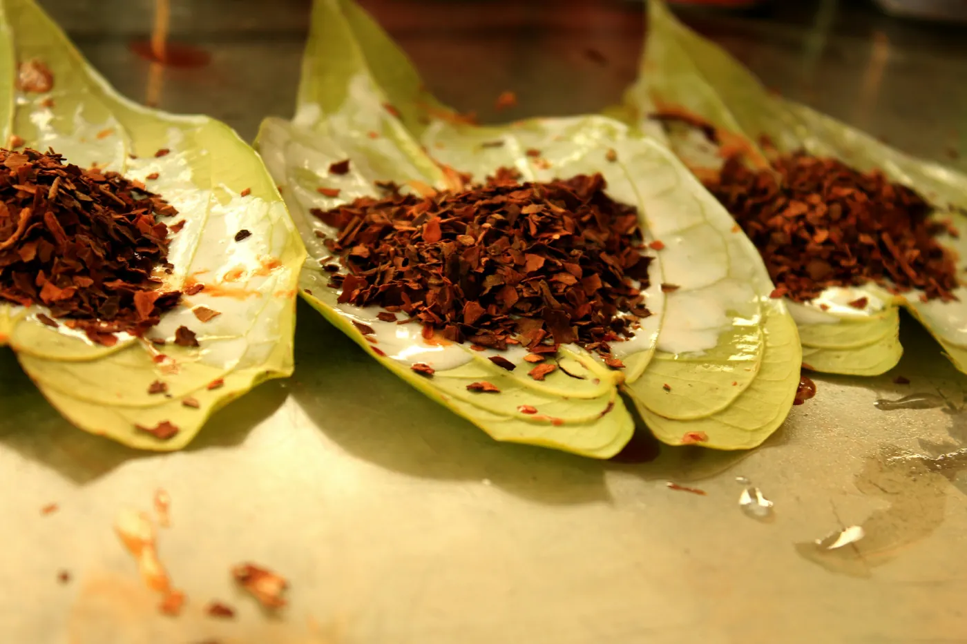 Shredded cooked meat laid in a line along soft tortillas