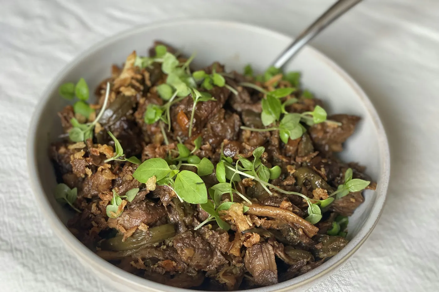 Shredded slow-cooked beef served plainly in a white bowl