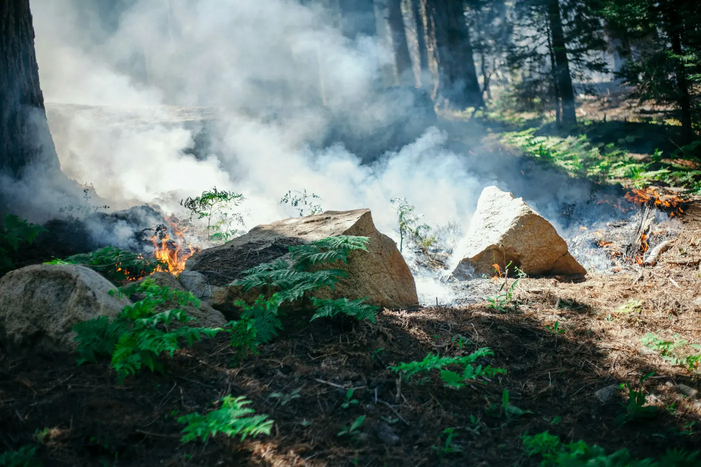 White smoke rising over stones and open ground