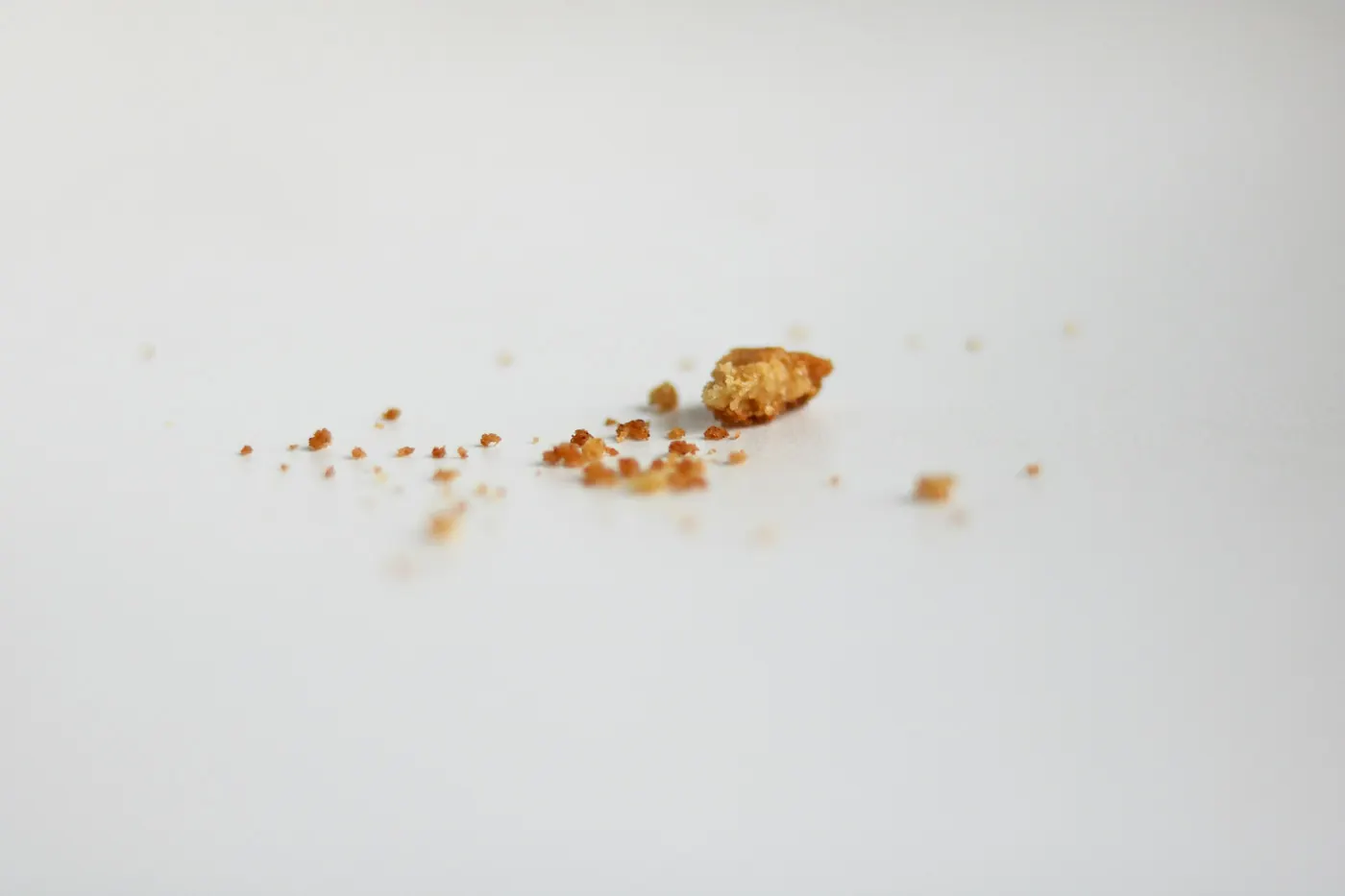 A small scatter of spilled food on a plain white surface
