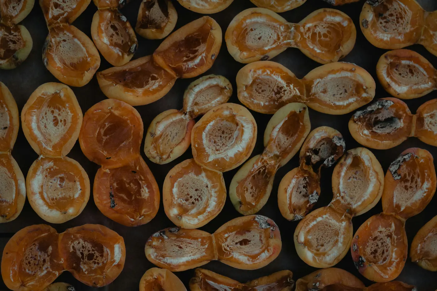 Swollen corn kernels that have split open