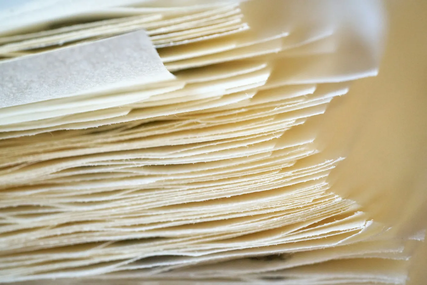 Tall stacks of pale corn tortillas