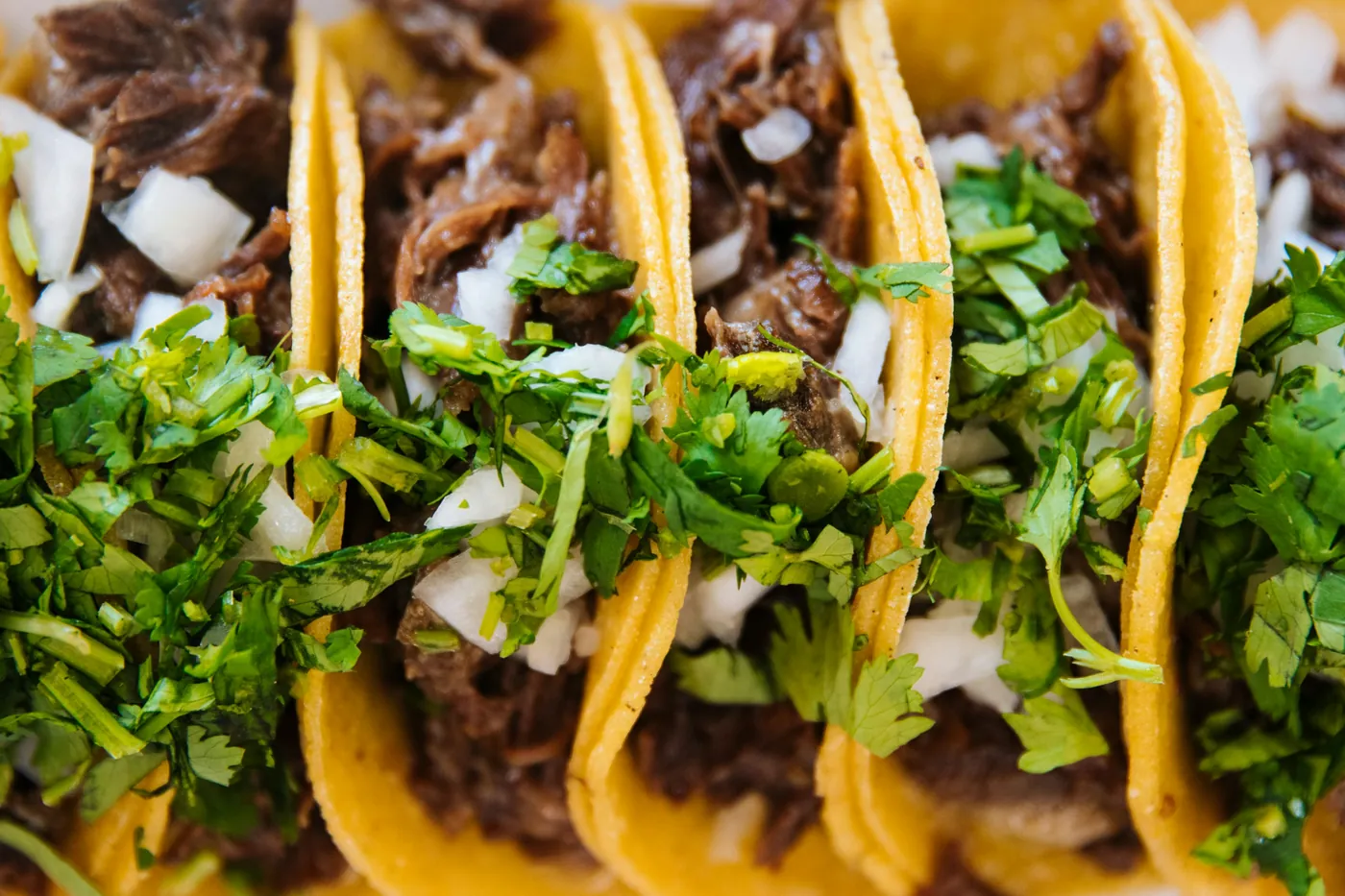 Close-up of tacos served in corn tortillas with cilantro and onion