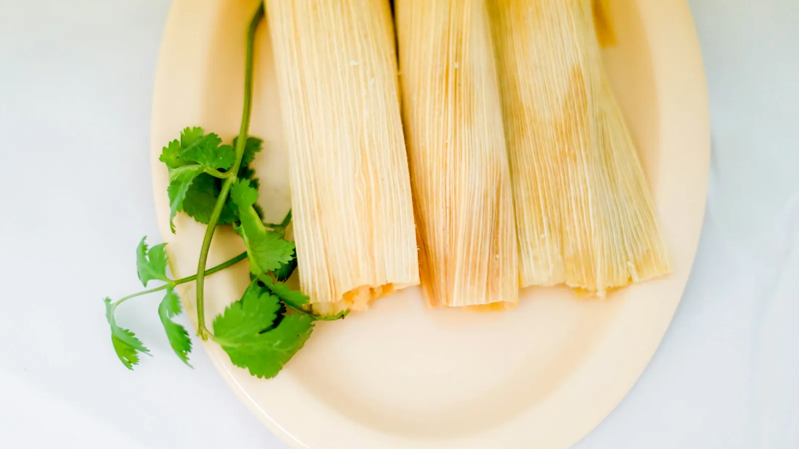 Two tamales wrapped in corn husks served on a plate with cilantro
