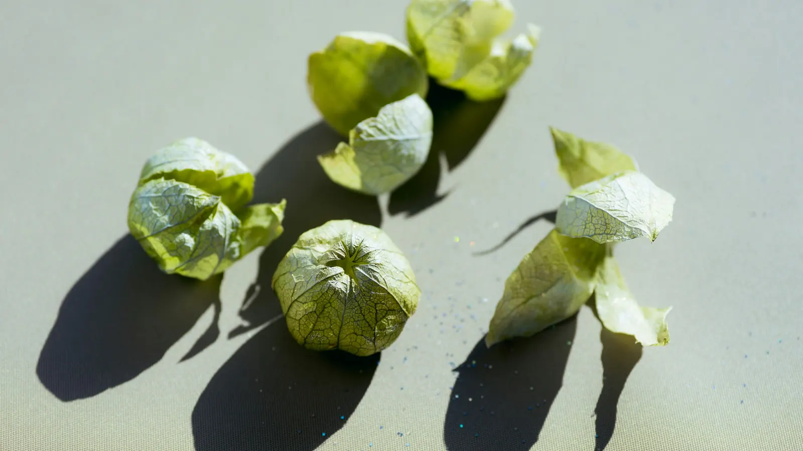 Several tomatillos still wrapped in their papery husks, casting long shadows