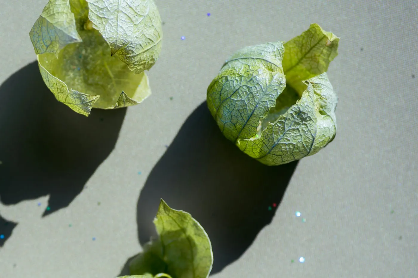 Green tomatillos with their papery husks peeled open