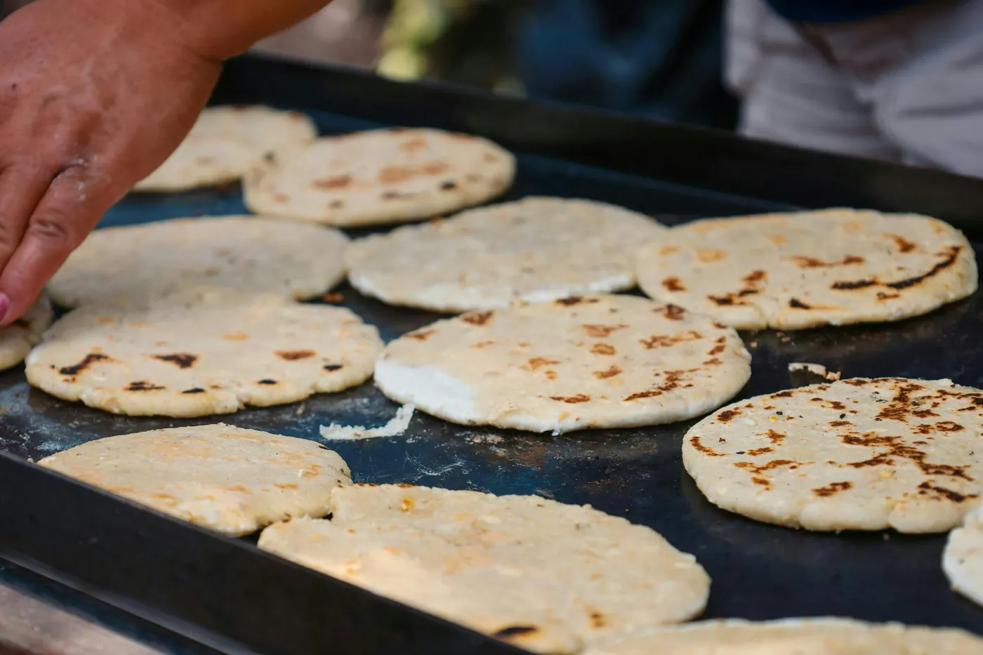 Fresh tortillas cooking in a row on a hot flat comal