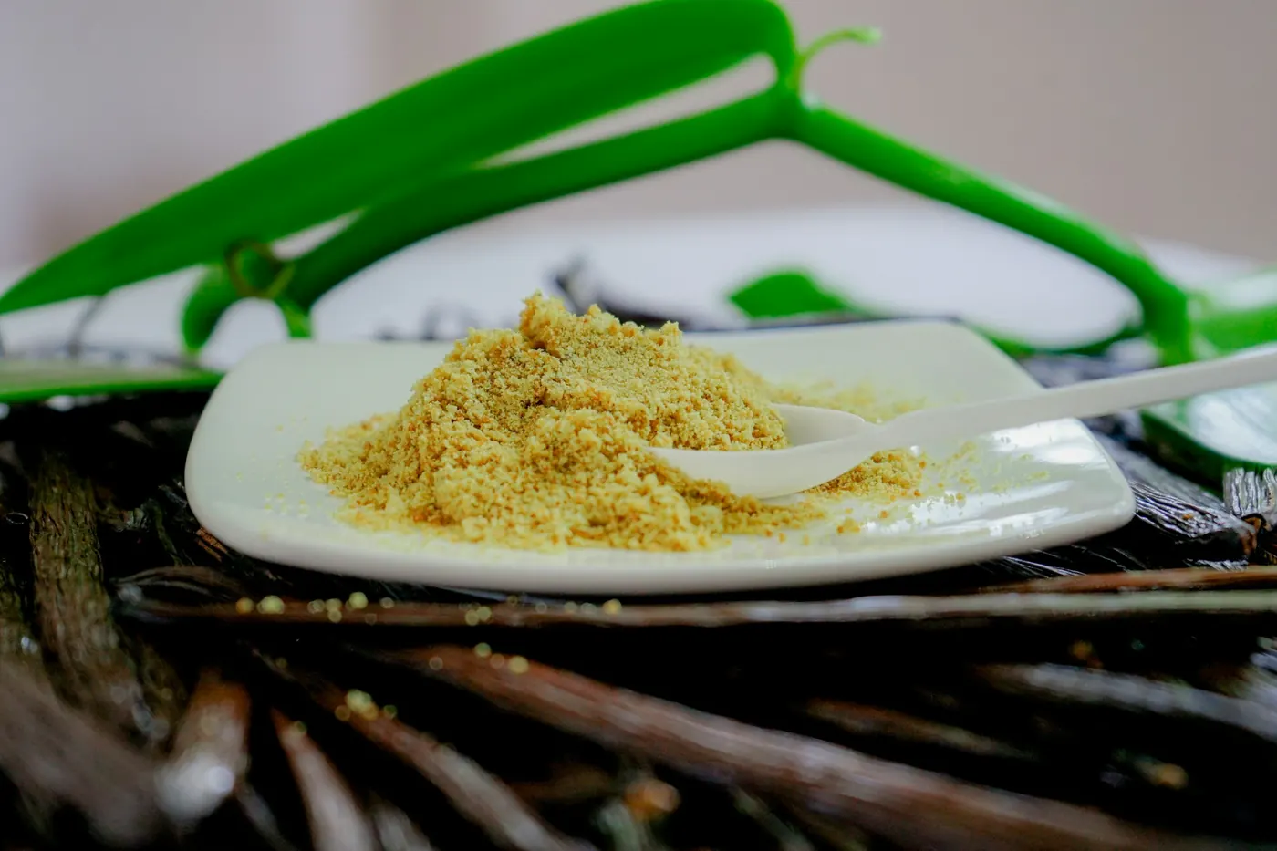 Vanilla pods arranged beside a dish of pale ground powder